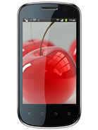 Best available price of Celkon A19 in Palau