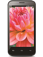 Best available price of Lava Iris 505 in Palau