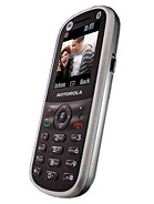 Best available price of Motorola WX288 in Palau