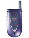 Best available price of Motorola V66i in Palau